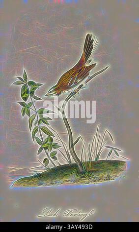 Raffigurazione stilizzata di un uccello arroccato su un ramo sottile, circondato da foglie delicate ed erba, che trasuda un senso di eleganza e di portamento., Lark Bunting, Prairie hermit (Calamospiza melanocorys, Emberiza gramaca), firmato: J.J. Audubon, J.T. Bowen, litografia, PL. 158 (vol. 3), Audubon, John James (disegnato); Bowen, J. T. (lith.), 1856, John James Audubon: The Birds of America: da disegni realizzati negli Stati Uniti e nei loro territori. New York: Audubon, 1856 anni, arte classica con un tocco moderno reinventata da Artotop Foto Stock