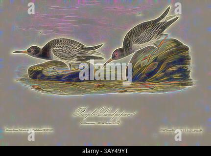 Due uccelli sono raffigurati su una superficie rocciosa, mostrando intricati dettagli di piume e pose dinamiche. La scena cattura un momento di interazione, enfatizzando le loro graziose forme su uno sfondo testurizzato. Il titolo aggiunge un tocco artistico a questo ritratto della fauna selvatica., Purple Sandpiper, Sandpiper (Calidris maritima, Tringa maritima), firmato: J.J. Audubon, J.T. Bowen, litografia, PL. 330 (vol. 5), Audubon, John James (disegnato); Bowen, J. T. (lith.), 1856, John James Audubon: The Birds of America: da disegni realizzati negli Stati Uniti e nei loro territori. New York: Audubon, 1856 anni, arte classica Foto Stock