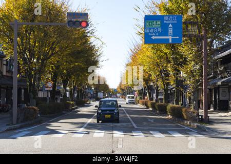 Alberi di Ginkgo dorati fiancheggiati su entrambi i lati di Yume Kyobashi Castle Road, una moderna via dello shopping fuori dal fossato esterno del castello di Hikone. Foto Stock