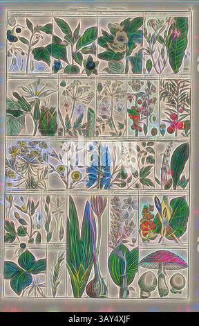 Una collezione di illustrazioni botaniche che mostrano una varietà di piante, fiori e foglie, ognuna meticolosamente dettagliata e disposta in pannelli etichettati. La diversità di forme e consistenze mette in risalto la bellezza e la complessità della natura, piante velenose, varie specie di piante velenose, Taf. XI, Heinrich Rudolf Schinz: Abbildungen aus der Naturgeschichte. Zürich: bei Friedrich Schulthess, [1824], arte classica con un tocco moderno reinventata da Artotop Foto Stock
