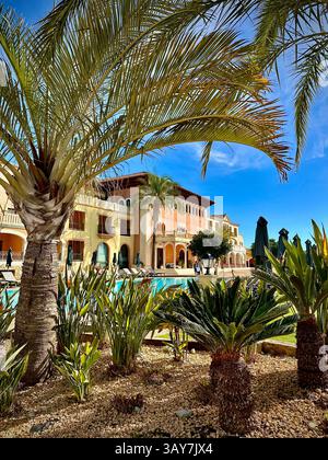 Questa immagine mostra una tranquilla piscina del resort incorniciata da alte palme e da un paesaggio tropicale. Sullo sfondo, un complesso di colore chiaro con balcone Foto Stock