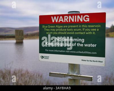 Cartello segnaletico presso Stocks Reservoir nel Lancashire, Regno Unito, sulle alghe blu-verdi Foto Stock