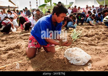 3 giu 2010 - Bangkok, Thailandia - le persone cercano semi di riso che sono stati benedetti dai sacerdoti Brahman dopo la cerimonia reale di aratura del 13 maggio. La cerimonia di aratura reale risale almeno al periodo Sukhothai (XIII e XIV secolo ca). L'evento è una cerimonia Brahman. In tempi antichi era per rappresentare le fortune agricole della prossima stagione di piantagione, benedire i campi e pregare per le piogge abbondanti. Ora si tratta più di un evento culturale che la monarchia thailandese, che presiede l'evento, usa per sottolineare l'importanza dell'agricoltura per la nazione. Tuttavia, la gente continua ad affluire Foto Stock