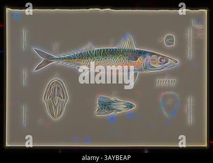 Una rappresentazione stilizzata di un pesce insieme a vari dettagli anatomici e forme, con contorni vibranti e un'estetica distintiva e astratta., Litographic Print - Litthographic Ink & Pencil on Paper, Colour Proof D pubblicato come piatto 28 in The Prodromus of the Zoology of Victoria di Frederick McCoy., arte classica con un tocco moderno reimmaginato da Artotop Foto Stock