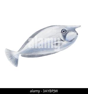 Pesci marini esotici. Pesci chirurghi e rinoceronti spinti blu con naso lungo e colore grigio chiaro. Corpo piatto. Abitante di barriere coralline e oceani. Pesce Foto Stock