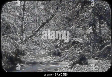 Una tranquilla foresta presenta fitte fogliame che circondano un torrente serpeggiante, mentre una figura solitaria si trova tranquillamente vicino al bordo dell'acqua, immersa nella bellezza naturale. Lantern Slide - A.G. Campbell, Upper Yarra River, Victoria, 1904-1907, immagine in bianco e nero di Archibald George Campbell seduta sulla riva di un torrente nella regione Upper Yarra di Victoria, fotografata da suo padre A.J. Campbell. Uno dei tanti che formano la A.J. Campbell Collection tenuta dal Museum Victoria., arte classica con un tocco moderno reinventata da Artotop Foto Stock