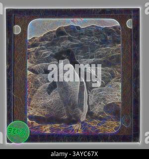 Un pinguino solitario si erge su un paesaggio aspro e strutturato, incarnando un momento di solitudine tra il terreno roccioso della natura. La scena è infonsa di un bagliore etereo, che ne esalta l'atmosfera serena ma suggestiva. Lantern Slide - Adelie Penguin, Cape Denison, BANZARE Voyage 2, Antartide, 1930-1931, slide di una Lanterna di un pinguino di Adelie a Cape Denison, Antartide. Una delle 328 immagini in vari formati, tra cui opere d'arte, fotografie, negativi di vetro e diapositive a lanterna. Arte classica con un tocco moderno reinventata da Artotop Foto Stock