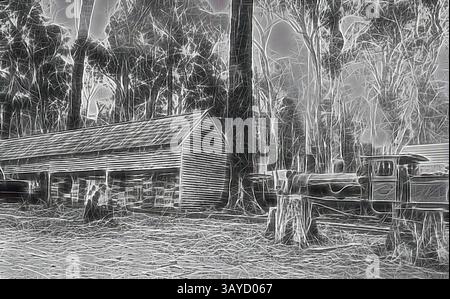 Una struttura rustica in legno si trova circondata da torreggianti alberi, con una vecchia macchina che riposa nelle vicinanze, creando un'atmosfera di tranquillità naturale e un pizzico di nostalgia., negativo - Mullungdung, Victoria, circa 1915, Un grande capannone di legno in una zona boschiva vicino a Yarrum. Ci sono molte casse impilate nel capannone e una donna sta di fronte ad esso. Accanto al capannone c'è un uomo posato su una piccola locomotiva a vapore tipo 0-6-0. La locomotiva era probabilmente di proprietà di una compagnia privata di legname, e potrebbe essere stata una locomotiva ex-Victorian Railways, arte classica con un tocco moderno reinventata da Artotop Foto Stock