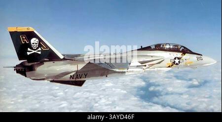 GRUMMAN F-14 TOMCAT della US Navy. Foto: Capt Dana Potts Foto Stock