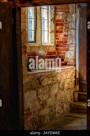 La luce soffusa rivela un davanzale in pietra senza tempo con lavanda secca in un angolo rustico di mattoni medievali e legno invecchiato Foto Stock