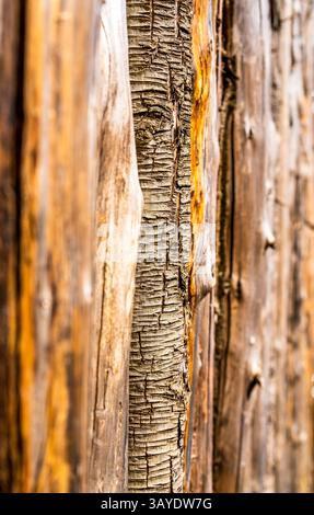 Primo piano di una recinzione di grana in legno fessurato e frazionato con agenti atmosferici lineari profondi e tracce in resina in legno strutturale invecchiato Foto Stock