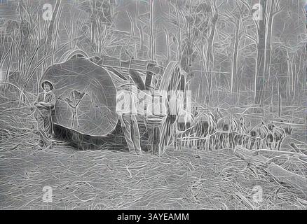 Un gruppo di individui si trova accanto a una grande macchina tradizionale per il taglio del tronco in un'area boschiva, circondata da rami e alberi caduti. La scena cattura il duro lavoro e la collaborazione coinvolti nella raccolta del legname, illustrando il legame tra le persone e il loro ambiente naturale. Negativo - Albany District, Australia Occidentale, circa 1900, Una squadra di cavalli che tira un grande tronco che sembra essere sospeso da un telaio fissato a due ruote di circa dieci piedi di diametro., arte classica con un tocco moderno reinventato da Artotop Foto Stock
