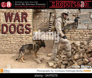 ZReportage Story of the Week #248- lanciato il 3 febbraio 2009 - esperienza multimediale completa, audio, foto, testo e/o video: Visita il sito zReportage.com per saperne di più. Dall'altra parte del fiume Tigri, si sente costantemente il rumore di un pesante fuoco di mitragliatrici. "Sergeant Dollar", un pastore tedesco, ha sparso intorno a un mucchio di mattoni e si è seduto, avvisandolo di possibili ordigni esplosivi all'interno. Con cautela i soldati rimuovono i mattoni, uno ad uno per esporre il filo di rame e i detonatori, segni certi di un IED. Solo un altro giorno di guerra ha distrutto l'Iraq per le unità "Military Working Dogs" (MWD) dell'usi delle forze armate statunitensi Foto Stock