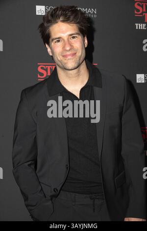 New York, Stati Uniti. 22 aprile 2025. Partecipa al Red carpet della serata di apertura di Stranger Things: The First Shadow a Broadway al Nederlander Alley, il 22 aprile 2025 a New York, New York. Crediti: SIPA USA/Alamy Live News Foto Stock
