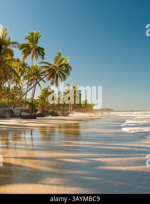 Tranquilla spiaggia con onde dolci che si infrangono sulla sabbia dorata sotto un cielo azzurro. Foto Stock