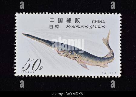 CINA - CIRCA 1994: Un francobollo stampato in Cina mostra Sturgeon, circa 1994. Foto Stock