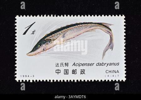 CINA - CIRCA 1994: Un francobollo stampato in Cina mostra Sturgeon, circa 1994. Foto Stock
