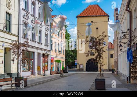 Chelmno, Polonia, 11 agosto 2024: Via pedonale nel centro di Chelmno PolandIMAGE Foto Stock