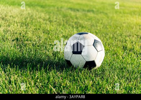 classico pallone da calcio su erba verde brillante sul campo da calcio. Estate a fare sport. Copia spazio. Foto Stock