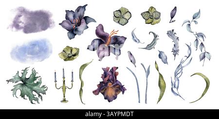 Clifone d'acquerello vintage di gigli viola, Iris scuro, fogliame, rami ondulati, piume, e candelabra isolati. Set floreale dipinto a mano in moody Foto Stock