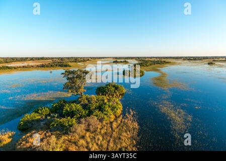 Veduta aerea del Delta dell'Okavango che mostra l'inondazione annuale sotto forma di acqua noves in aread che sono state asciutte per mesi. Botswana Foto Stock