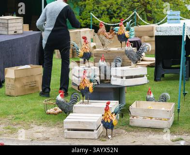 Harrogate Flower Show, North Yorkshire. 22 aprile. Preparativi in corso per l'inizio dell'Harrogate Flower Show che inizierà domani 24 aprile - 27 aprile Bridget Catterall AlamyLiveNews Foto Stock