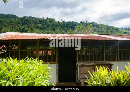 Sala di meditazione nella foresta pluviale amazzonica che promuove consapevolezza e tranquillità Foto Stock