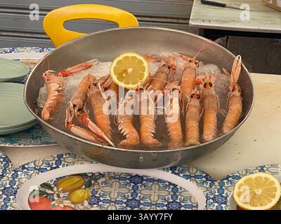 Nephrops norvegicus fresco, noto anche come scampi o scampi, presentato su un letto di ghiaccio con una fetta di limone, pronto per essere preparato in una restaura Foto Stock