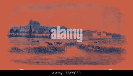 Un tranquillo paesaggio rurale caratterizzato da una collina lontana con un castello o una chiesa, una fattoria con bestiame da pascolo e dolci corsi d'acqua che riflettono l'ambiente sereno. The Royal Agricultural Society of England, Meeting at Lewes: The Cattle Show, from the River, 1852 arte classica con un tocco moderno reinventata da Artotop Foto Stock