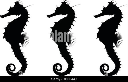 Tre silhouette di cavallucci marini visualizzate in fila su uno sfondo bianco scuro in un design semplice Illustrazione Vettoriale