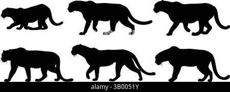 Sei silhouette di pantera nere in varie posizioni su uno sfondo bianco semplice che mostra i contorni degli animali Illustrazione Vettoriale