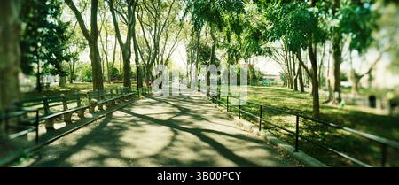 Passaggio panoramico attraverso il parco, McGolick Park, Greenpoint, Brooklyn, New York City, stato di New York, Stati Uniti Foto Stock