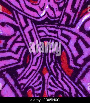 Un design vivace e astratto caratterizzato da motivi vorticosi con linee nere audaci a contrasto con uno sfondo rosa e rosso vivace. Le forme intricate creano un senso di movimento e complessità. Un vivace motivo circolare caratterizzato da intricati disegni intrecciati in sfumature di viola e rosso, creando un'immagine accattivante e dinamica. Arte classica con un tocco moderno reinventata da Artotop, decorazione araba trasformata, arte classica con un tocco moderno reinventata da Artotop Foto Stock