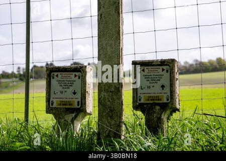 Due marcatori catodici di protezione in un campo erboso, accanto a una recinzione metallica, che segnalano la necessità di scavare e contrassegnare le posizioni delle tubazioni Foto Stock