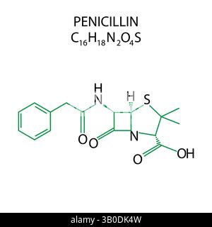 Diagramma della formula della penicillina. Composto chimico. Schizzo di biologia molecolare. Grafico scientifico vettoriale. Illustrazione Vettoriale