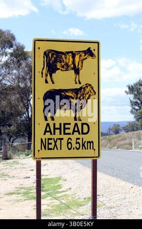 Cartello "mucche avanti" sul lato di una strada rurale in campagna Foto Stock