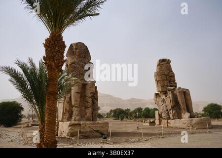 Colosso di Memnon Foto Stock