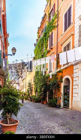 Vista pittoresca dell'area di Trastevere con edifici ricoperti di edera, case residenziali e lavanderia appesi su una linea in un affascinante vicolo di Roma, Italia Foto Stock