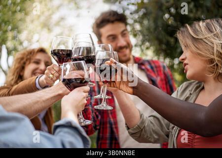 Primo piano di amici diversi che brinano con bicchieri di vino rosso all'aperto. Concetto di celebrazione, amicizia, inclusione e connessione sociale in estate. Foto Stock