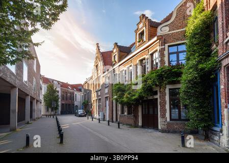 Edifici residenziali moderni e rinnovati lungo una strada stretta nel centro della città in Belgio al tramonto in estate Foto Stock