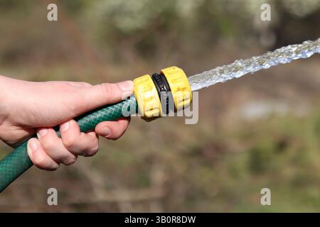 Innaffiare le piante. Mano di donna che tiene un tubo con acqua. Forte flusso di acqua dal tubo flessibile. Mano femminile con un tubo da giardino che innaffia piante, giardinaggio Foto Stock