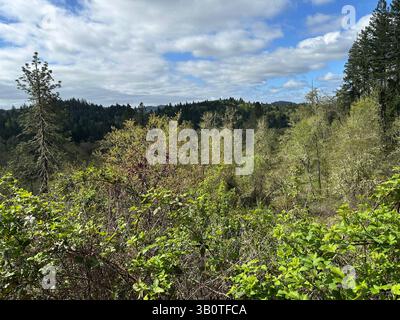 La valle di Willamette, a sud di Eugene, Oregon, in primavera. Foto Stock