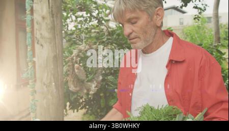 Immagine di luci incandescenti sull'uomo caucasico che trasporta una cassa di verdure fresche in giardino Foto Stock