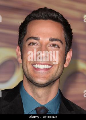 14 novembre 2010 - Hollywood, California, USA - l'attore ZACHARY LEVI arriva alla prima mondiale "aggrovigliata" che si tiene all'El Capitan Theatre. (Immagine di credito: © Lisa o'Connor/ZUMApress.com) Foto Stock