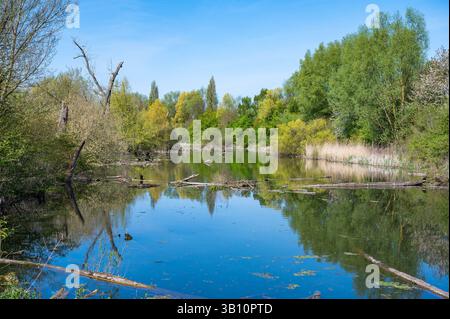 Acque, piante e alberi riflettenti nello stagno di Wevelgem, Fiandre occidentali, Belgio, 11 aprile 2025 Foto Stock