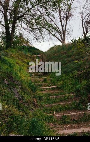 Scalini in pietra salgono su una collina erbosa, circondata da vegetazione lussureggiante e accenni di inizio primavera. Paesaggio naturale. La scala conduce in alto in giardino. Foto Stock