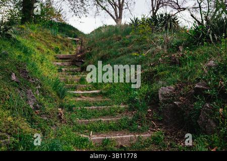 Scalini in pietra salgono su una collina erbosa, circondata da vegetazione lussureggiante e accenni di inizio primavera. Paesaggio naturale. La scala conduce in alto in giardino. Foto Stock
