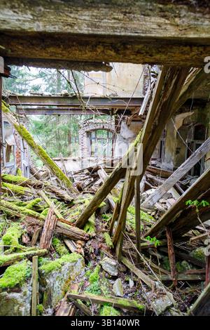Bad Illstern, italia, posto perso. Vista interna di un edificio fatiscente, pieno di detriti, muschio e accenni della foresta esterna attraverso Broken wi Foto Stock