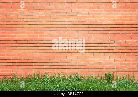 Un muro di mattoni è una struttura robusta fatta di mattoni e Malta. Fornisce privacy, sicurezza e fascino estetico agli edifici. durata e tempi Foto Stock