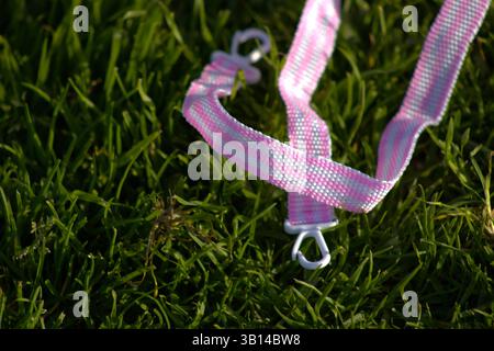 cinturino a righe bianco e rosa Foto Stock